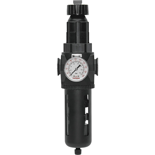 Modulair 400 Filter/Regulator with Manual Drain, 3/4" NPT, 200 psi, 9.1 fl. oz. Capacity We Share Industrial Supply