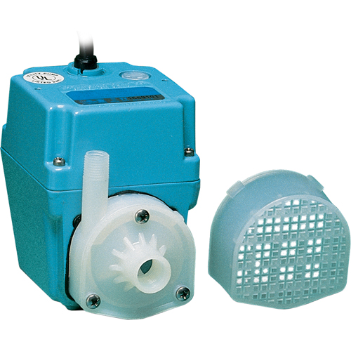 Pompes &agrave; double usage, 1/40 CV, 300 gal./h, 115 V, 1,7 A We Share Industrial Supply
