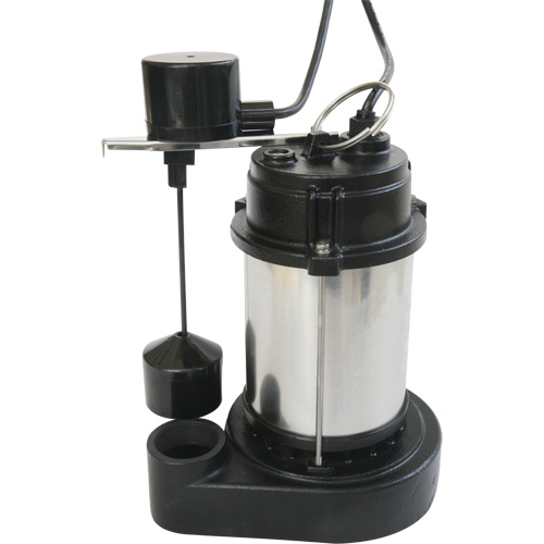 Stainless Steel Housing-Cast Iron Base Sump Pump, 1/3 HP, 3630 GPH Flow Rate We Share Industrial Supply