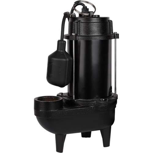Pompe d'effluent en fonte, 4800 gal./h, 120 V, 7,8 A, 1/2 CV We Share Industrial Supply