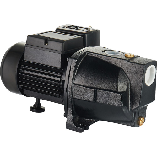Pompe &agrave; jet en fonte &agrave; double tension pour puit peu profond, 115 V/230 V, 1100 gal./h, 1 CV We Share Industrial Supply