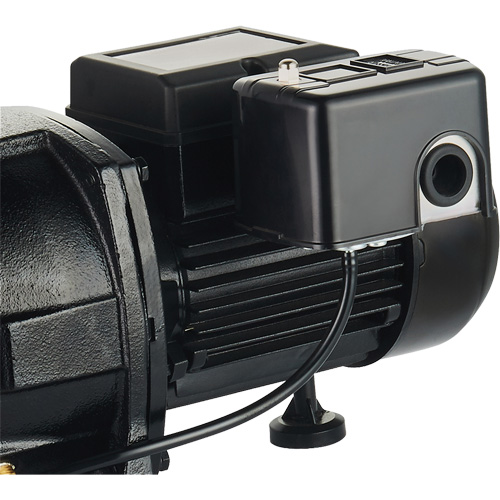 Pompe &agrave; jet en fonte &agrave; double tension pour puit peu profond, 115 V/230 V, 1100 gal./h, 1 CV We Share Industrial Supply