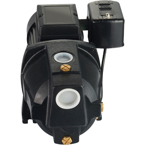 Pompe &agrave; jet en fonte &agrave; double tension pour puit peu profond, 115 V/230 V, 1100 gal./h, 1 CV We Share Industrial Supply