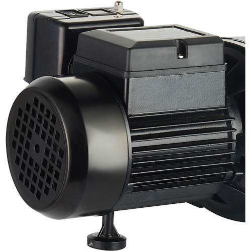 Pompe &agrave; jet en fonte &agrave; double tension pour puit peu profond, 115 V/230 V, 1100 gal./h, 1 CV We Share Industrial Supply