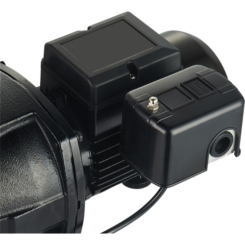 Pompe &agrave; jet en fonte &agrave; double tension pour puit peu profond, 115 V/230 V, 1100 gal./h, 1 CV We Share Industrial Supply