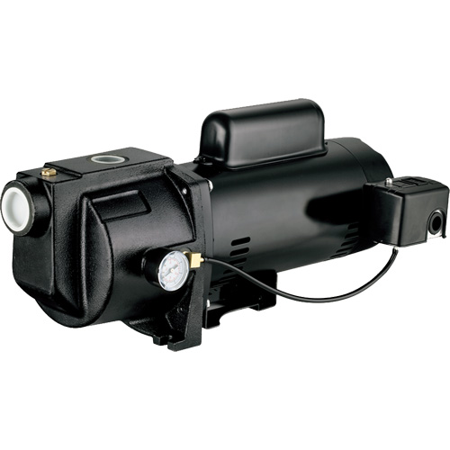 Pompe &agrave; jet en fonte &agrave; double tension pour puit peu profond, 115 V/230 V, 1260 gal./h, 1 CV We Share Industrial Supply