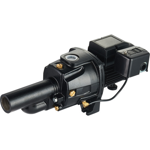 Pompe &agrave; jet en fonte &agrave; double tension transformable, 115 V/230 V, 1100 gal./h, 1/2 CV We Share Industrial Supply