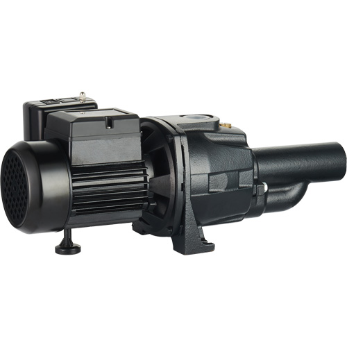 Pompe &agrave; jet en fonte &agrave; double tension transformable, 115 V/230 V, 1100 gal./h, 1/2 CV We Share Industrial Supply