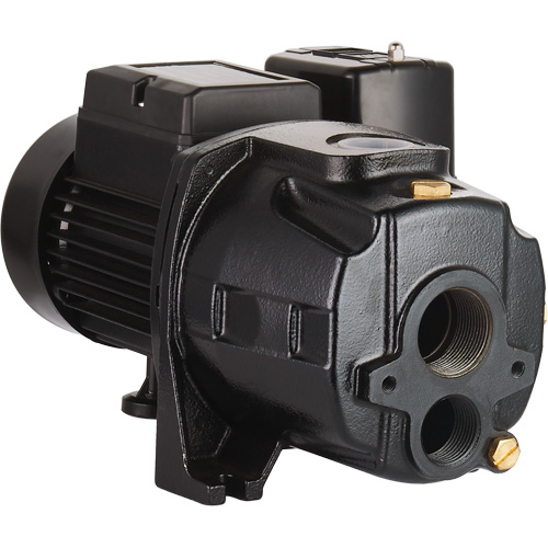 Pompe &agrave; jet en fonte &agrave; double tension transformable, 115 V/230 V, 1100 gal./h, 1/2 CV We Share Industrial Supply