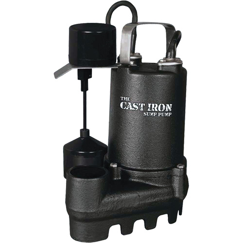 Cast Iron Submersible Sump Pump with Vertical Float Switch, 67 GPM, 33 V, 5 A, 1/3 HP We Share Industrial Supply