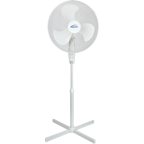 Oscillating Pedestal Fan, Commercial, 3 Speed, 18" Diameter We Share Industrial Supply
