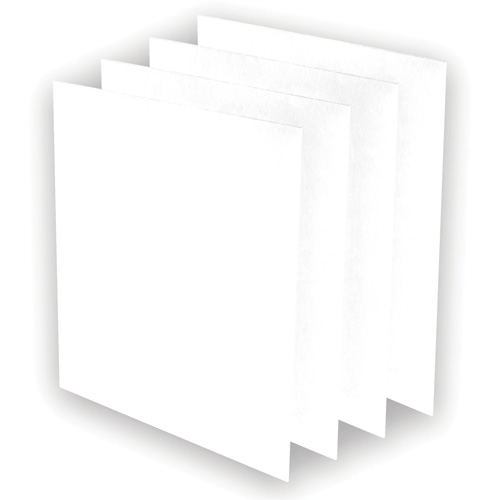 Pr&eacute;-filtres AeraMax Pro AM3 ou AM4, 13,75" la x 0,13" p x 14,38" h We Share Industrial Supply