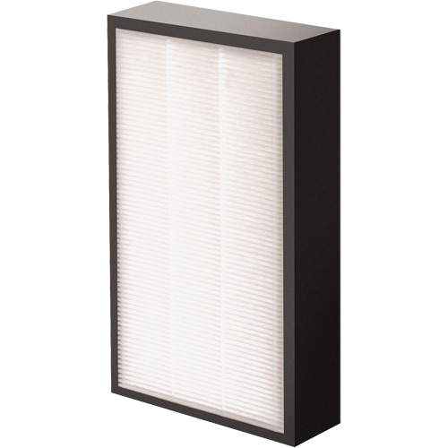 V&eacute;ritables filtre HEPA AeraMax Pro AM2 1-3/4", Boîte, 7,38" la x 1,88" p x 12,88" h We Share Industrial Supply