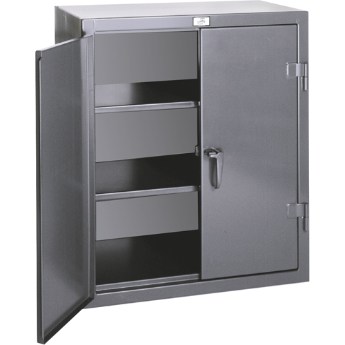 Armoires de rangement hauteur comptoir, Acier, 2 Tablettes, 36" h x 24" la x 20" P, Gris We Share Industrial Supply