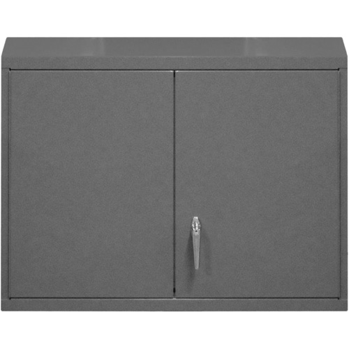 Armoire murale, 27" h x 29-7/8" la x 13-11/16" p, 2 tablettes, Acier, Gris We Share Industrial Supply