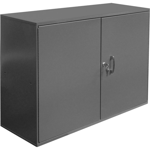 Armoire pour accessoires abrasifs, Acier, 2 tiroirs, 33-3/4" x 11-7/8" x 23-7/8", Gris We Share Industrial Supply