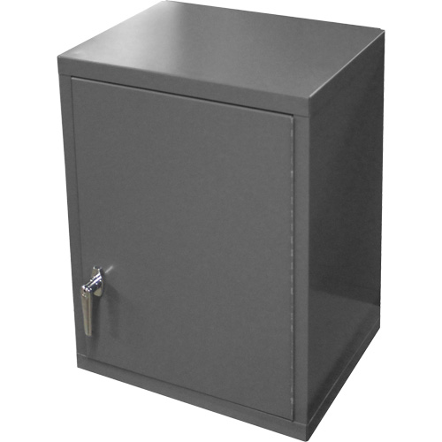 Armoire murale, 27" h x 13-11/16" la x 18" p, 2 tablettes, Acier, Gris We Share Industrial Supply