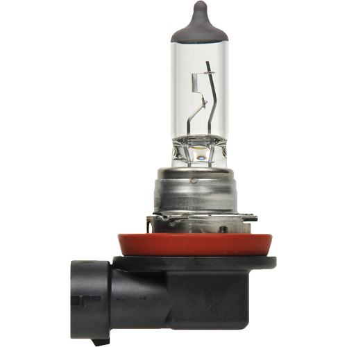 Ampoule de base pour feu avant H8, Halog&egrave;ne, 35 W, Blanc cass&eacute; We Share Industrial Supply
