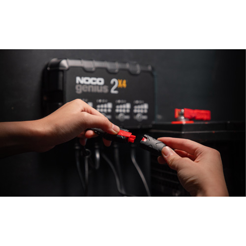 Chargeur de batterie 4 sorties de 8 A Genius 2X4 We Share Industrial Supply