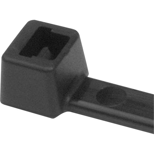 PA66 Cable Ties, 5-1/2" Long, 18 lbs. Tensile Strength, Black We Share Industrial Supply