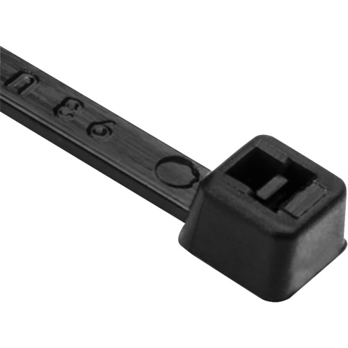 PA66 Cable Ties, 8" Long, 50 lbs. Tensile Strength, Black We Share Industrial Supply