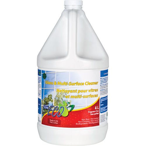 Glass & Multi-Surface Cleaners, 4 L, Jug We Share Industrial Supply