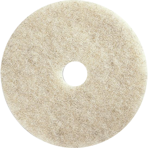 Tampons pour l'entretien des planchers, 21", Brunissage, Brun We Share Industrial Supply