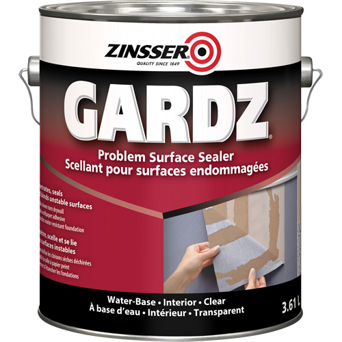 Scellant de surface &agrave; probl&egrave;mes Gardz, 916 ml, Canette, Transparent We Share Industrial Supply