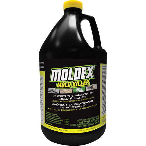 D&eacute;sinfectant contre les moisissures Moldex, 3,78 L, Cruche We Share Industrial Supply