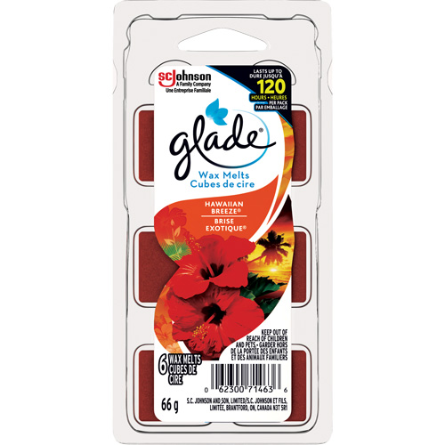 Cubes de cire parfum&eacute;e Glade, Brise exotique We Share Industrial Supply