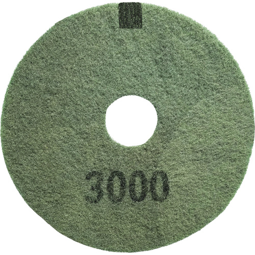 Tampon pour planchers, grain 3000, 14", &agrave; r&eacute;curer/D&eacute;capant, Noir We Share Industrial Supply
