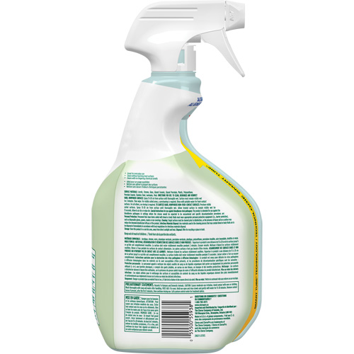 CloroxPro Clorox EcoClean Disinfecting Cleaner, 946 ml, Trigger Bottle We Share Industrial Supply