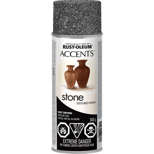 Accents&reg; Stone Creations Spray Paint, Aerosol Can, Grey Stone We Share Industrial Supply