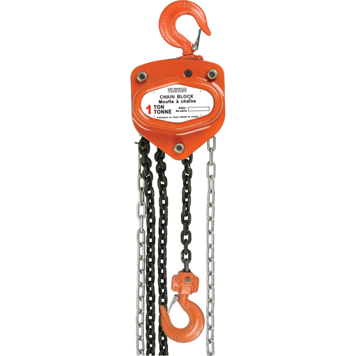 Chain Hoist, 20' Lift, 6000 lbs. Capacity, Alloy Steel Chain We Share Industrial Supply