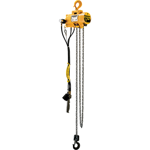 Budgit&reg; Air Chain Hoists We Share Industrial Supply