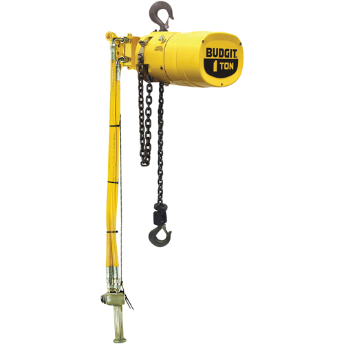 Budgit&reg; Series 6000 Air Hoists We Share Industrial Supply