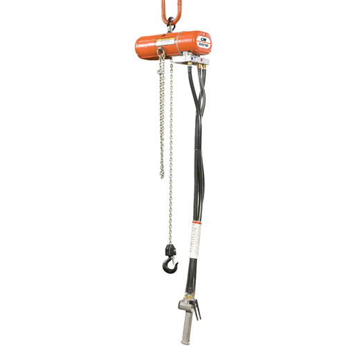 ShopAir Chain Hoists We Share Industrial Supply