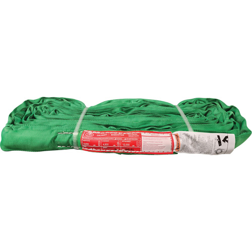 Polyester Round Sling, Green, 12' L, 6000 lbs. Vertical Load We Share Industrial Supply