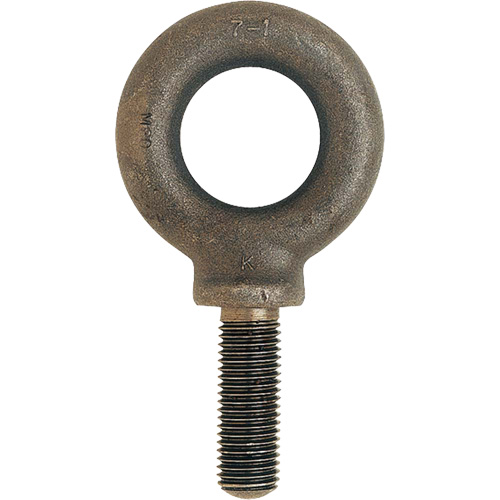 Boulon &agrave; œil m&eacute;trique, 51 mm dia, 70 mm lo, 11 400 lb (5,7 tonnes) capacit&eacute; We Share Industrial Supply