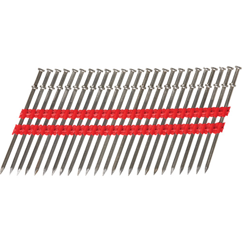 16D Collated Duplex Nails We Share Industrial Supply