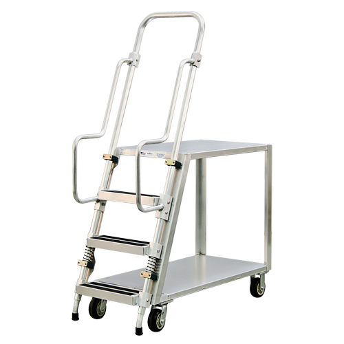 Chariot de pr&eacute;paration en aluminium avec &eacute;chelle, Aluminium, 22" la x 51-1/2" p, 2 tablettes, Capacit&eacute; 800 lb We Share Industrial Supply