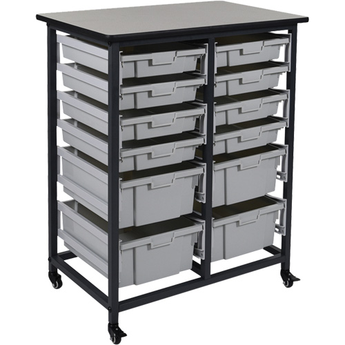 Mobile Bin Storage Unit, Single-sided, 12 bins, 30-3/4" W x 20" D x 37-1/2" H We Share Industrial Supply