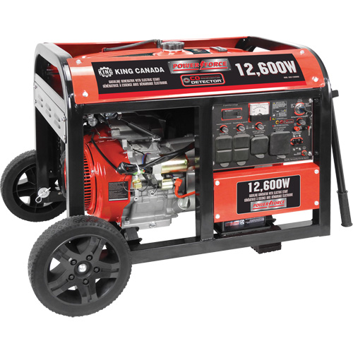 G&eacute;n&eacute;ratrice &agrave; essence &agrave; d&eacute;marreur &eacute;lectrique, 12600 W de surtension, 9000 W nominale, 120 V/240 V, R&eacute;servoir de 31 L We Share Industrial Supply