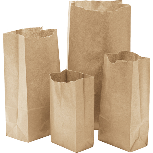 Sacs en papier n 14, Papier, 7-3/4" la x 14.8125 lo We Share Industrial Supply