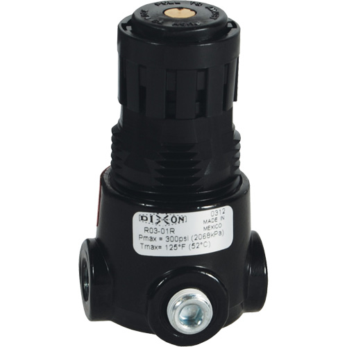R&eacute;gulateur miniature R03 Wilkerson, 1/4" NPT, PSI max. de 300 psi, Standard We Share Industrial Supply