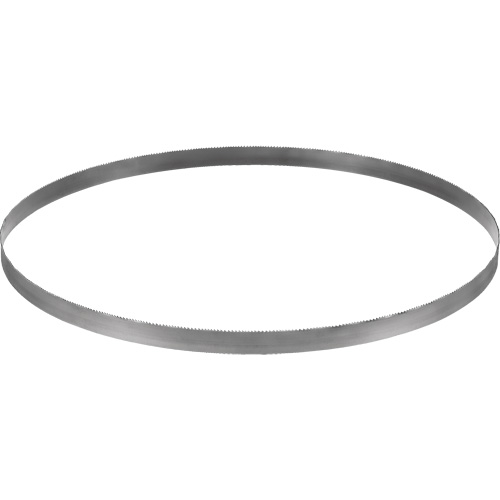 Cordless Band Saw Blade, Bi-Metal, 32-7/8" L x 0.02" Thick, 14-18 TPI We Share Industrial Supply