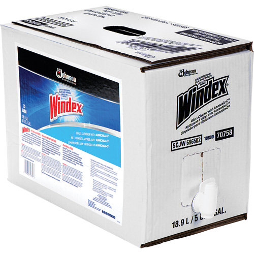 Nettoyant pour vitres Windex avec Ammoniac-D, 5 gal., Sac We Share Industrial Supply
