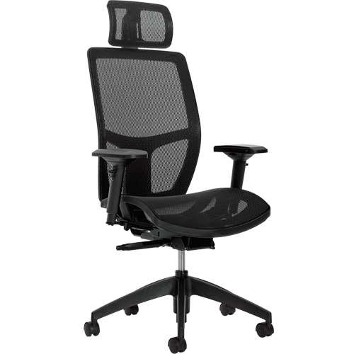 Chaise &agrave; dossier moyen avec m&eacute;canisme &agrave; basculement synchronis&eacute; &agrave; d&eacute;tection de poids Format+, Mailles, Noir, Capacit&eacute; 300 lb We Share Industrial Supply