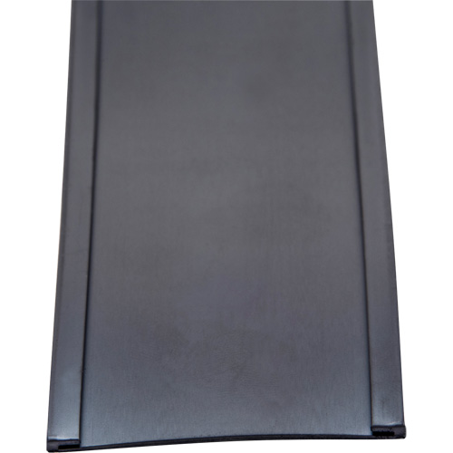Porte-&eacute;tiquette, Magn&eacute;tique, 600" lo x 2" la We Share Industrial Supply