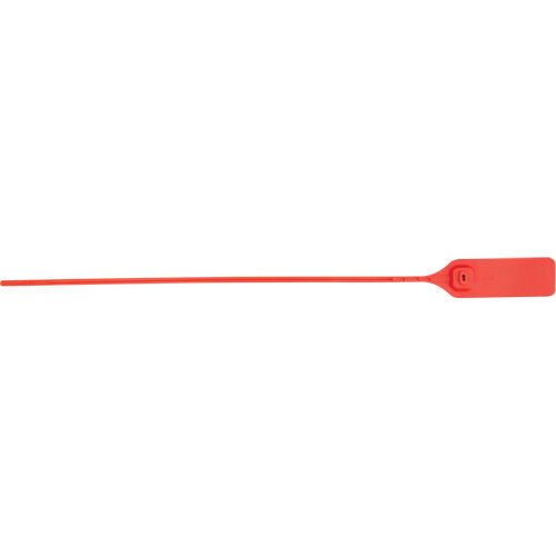 Scell&eacute; de s&eacute;curit&eacute; robuste, 13", Plastique, Scell&eacute; &agrave; tirer We Share Industrial Supply